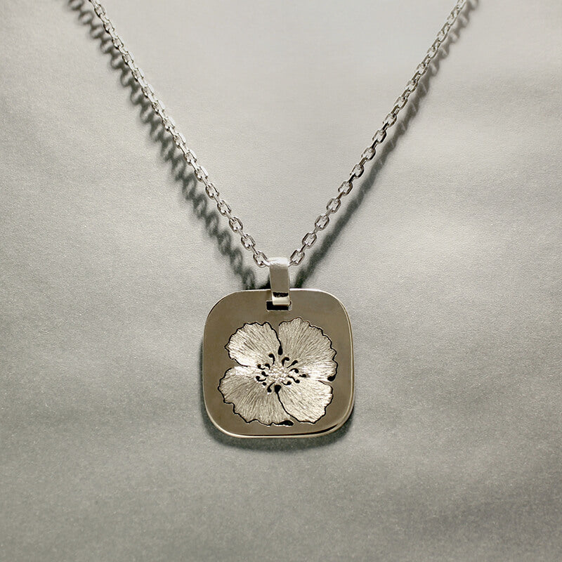 Médaille Souvenir